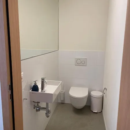 Selva Mountain * Φιλμς