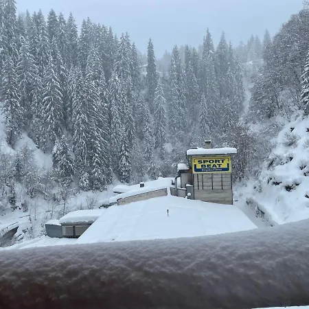 Selva Mountain Apartament *