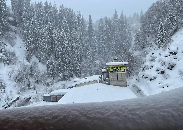 Selva Mountain Apartament *